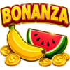 Bonanza Slots