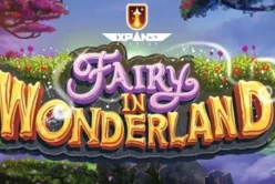 FAIRY IN WONDERLAND
