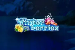 Winterberries