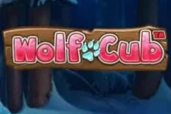 Wolf Cub