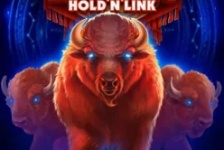 Wild Buffalo: Hold 'n' Link
