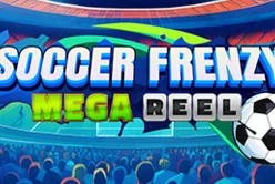 Soccer Frenzy