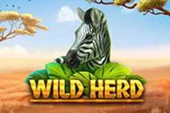 Wild Herd