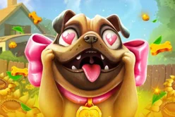Go High Puppy Love