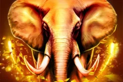 Elephant Stampede
